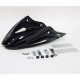 Bugspoiler Ermax -Kawasaki Z650RS 2021/+