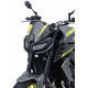 Gabelkopf Ermax - Yamaha MT09 2017-2020