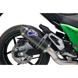 Exhaust Termignoni - Kawasaki Z800E 2013-2016