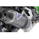 Exhaust Termignoni - Kawasaki Z800E 2013-2016