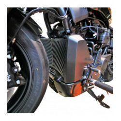 Radiator guard for Harley-Davidson Sporster S 1250 2021/+