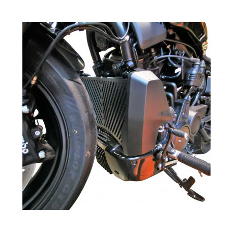 Radiator guard for Harley-Davidson Sporster S 1250 2021/+