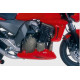 Ecopes Ermax - Kawasaki Z750 2004-06