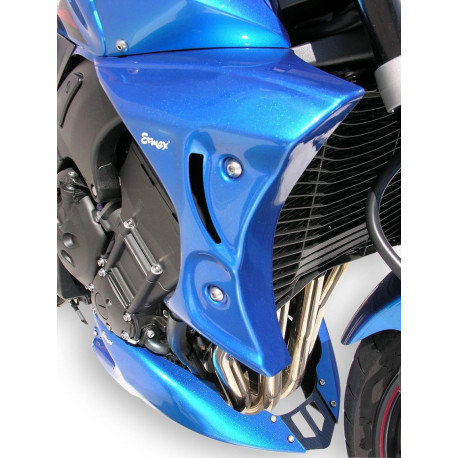 Ecopes Ermax - Yamaha FZ1 2006-15