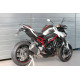 Support de plaque Mg-Biketec - Kawasaki Z900 2017-24