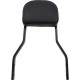 Sissy bar Cobra detachable