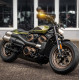 Heinz Bikes NANO series turn light - Harley Davidson Sportster (S) 2021/+
