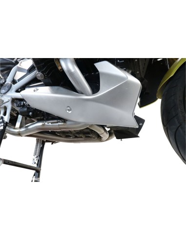GPR Decatalyser -  - BMW R 1250 R 2021 /+ // R1250 RS 2021 /+