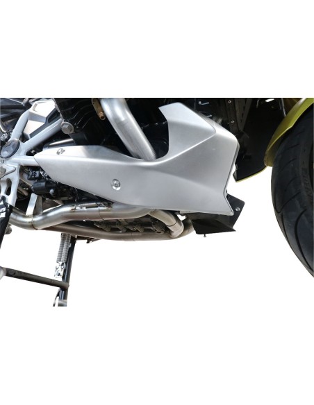 GPR Decatalyser -  - BMW R 1250 R 2021 /+ // R1250 RS 2021 /+