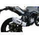Exhaust GPR Albus EVO4 - Bmw G310 GS 2017-20