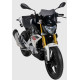 Ermax Sport Scheibe - BMW G 310 R 2016 /+