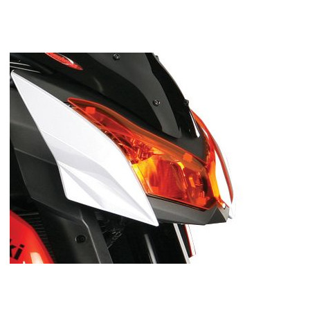 Powerbronze Headlight Protector - Kawasaki Z1000 2010-13