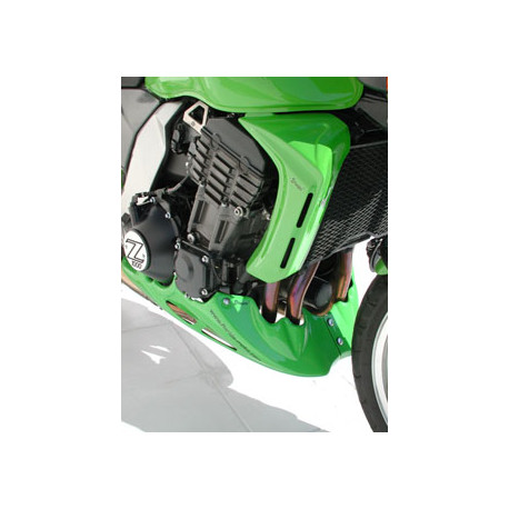 Ermax Kühlerseitenverkleidung - Kawasaki Z1000 2003-06