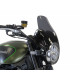 Powerbronze Spoilerscheibe 290mm - Kawasaki Z900 RS 2018/+