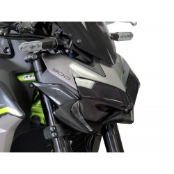 Powerbronze-Scheinwerferschutz - Kawasaki Z900 2020/+