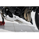 Bugspoiler Ermax - Triumph Street Triple 675 2012/-