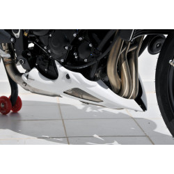 Bugspoiler Ermax - Triumph Street Triple 675 2012/-