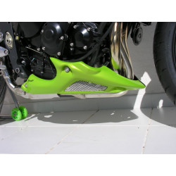 Bugspoiler Ermax - Triumph Street Triple 675 2008-11