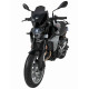 Ermax windscreen - BMW F 900 R 2020/+