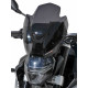 Ermax Sport Screen - BMW F 900 R 2020/+