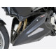 Belly Pan Powerbronze - BMW F 900 R/XR 2020/+