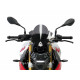 Powerbronze Spoilerscheibe 260mm - BMW F 900 R 2020/+