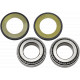 ALL BALLS Steering Shaft Bearing 22-1004-A