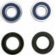ALL BALLS Front / ABS Wheel Bearing 25-1653