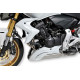 Ermax Bugspoiler - Honda CB 600 Hornet 2011-14