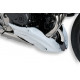 Ermax Bugspoiler - Honda CB 600 Hornet 2011-14