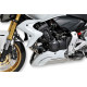 Ermax Ecopes de Radiateur - Honda CB 600 F Hornet 2011-14