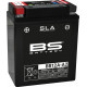 BS BATTERY Battery BB12A-A2 SLA Maintenance Free Factory Activated