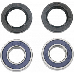 ALL BALLS Front / ABS Wheel Bearing 25-1403