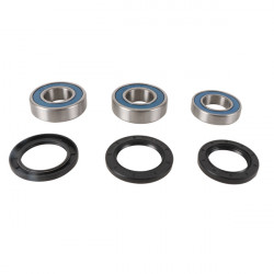 ALL BALLS Rear Wheel Bearing 25-1798