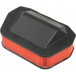 HIFLOFILTRO HFA4919 Air Filter