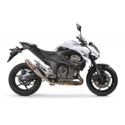 Exhaust GPR Deeptone Inox- Kawasaki Z 800 E 2013-16 