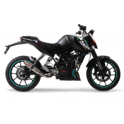 Auspuff GPR Deeptone Inox - Ktm Duke 125 2011-16