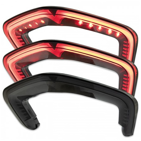 Ducati Tinted LED tail light