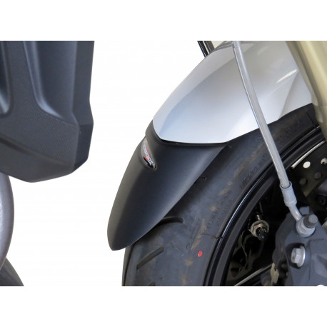 Powerbronze Kotflügelverlängerungen - BMW F 800R 2015-19 // R1200R 2015-18 // R1250R 2019 /+