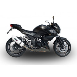 Echappement GPR Albus - Kawasaki Z300