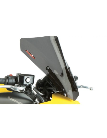Powerbronze Bubble 360 mm - Kawasaki ER-6 N 2012-16