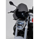 Ermax Scheibe - BMW R 1200 R 2015-18