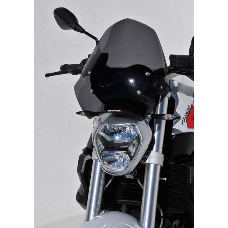 Ermax Saute Vent - BMW R 1200 R 2015-18