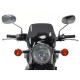 Powerbronze Screens 225 mm - Kawasaki W800 2013-20