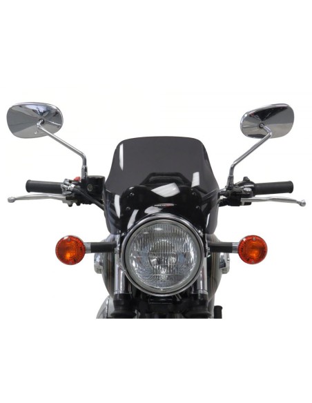 Powerbronze Spoilerscheibe 225 mm - Kawasaki W800 2013-20