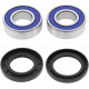 All Balls front wheel bearing kit