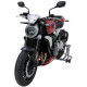 Windschutz Sport Ermax - Honda CB 1000 R 2021/+