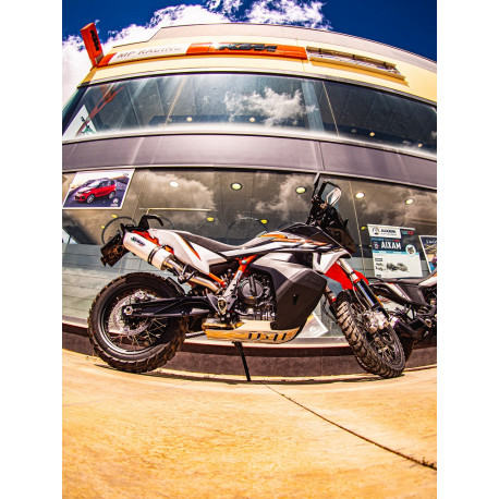 Exhaust GPR Albus Evo4 - Husqvarna Norden 901 2022 /+