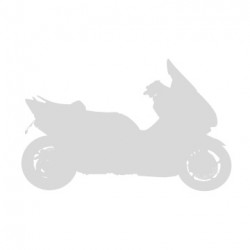 Ermax Scooter Windshield High Protection - Honda FJS 400 2001-08 // FJS 600 2001-10 (Silver Wing)