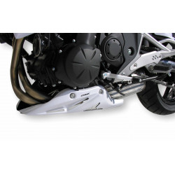 Ermax Bugspoiler - Kawasaki ER-6N/F 2009-11